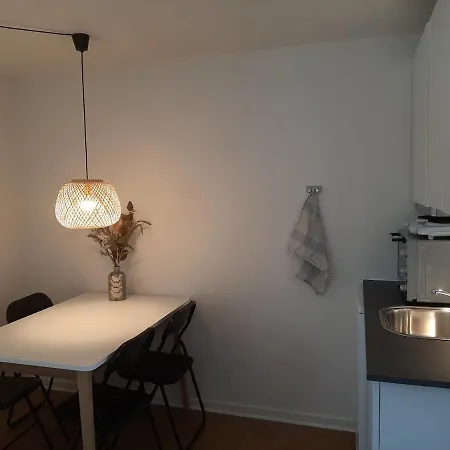 Mini-lejlighed Med Kokken - Deler Bad Og Toilet Med Nabolejlighed 3 Apartment *